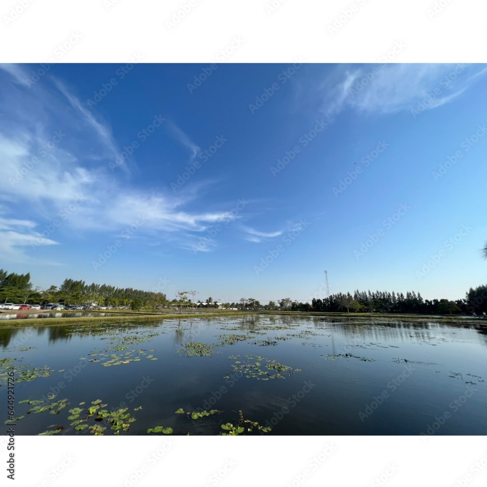 Fototapeta premium landscape with lake