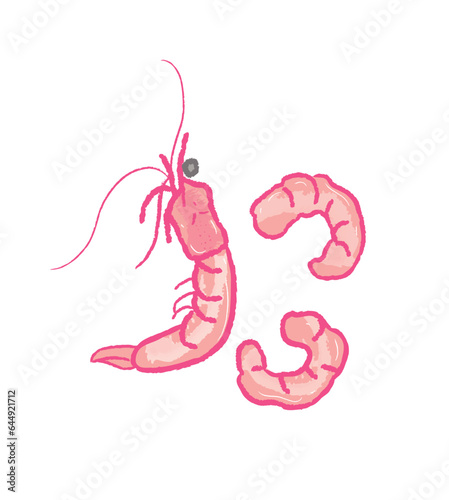 Peeled cooked shrimps and unpeeled shrimp