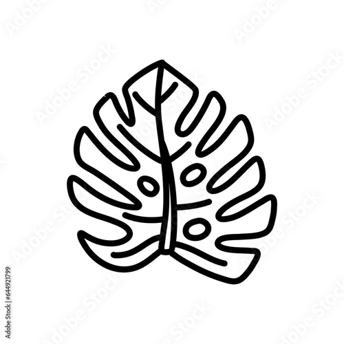 Hand draw of tropical monstera leaves. Monstera Deliciosa. Black contours isolated on a white background.