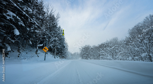 japanese road with lots of snow and trees