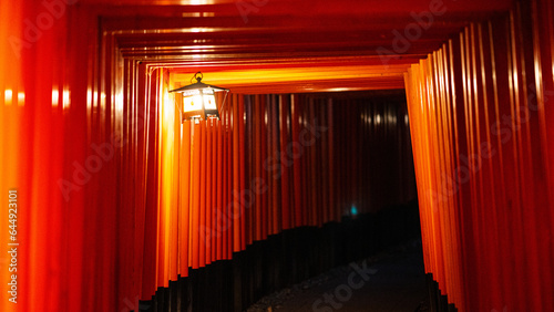 japanese thousand torii gates in kyoto 