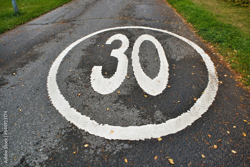 Speed limit sign of 30 painted on the ground © EsaHiltula