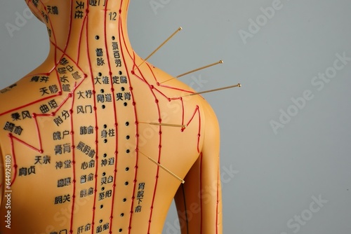Fototapeta Naklejka Na Ścianę i Meble -  Acupuncture - alternative medicine. Human model with needles in shoulder against grey background, space for text