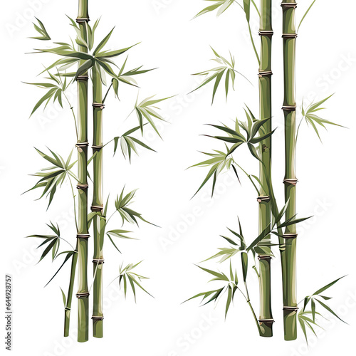 Bamboo Plant Green vector graphic © paisorn