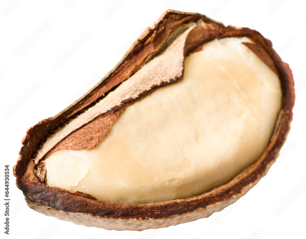 One brazil nut isolated on white background.