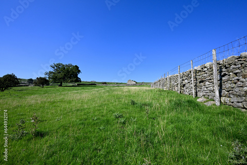 landscape with dry stone wall