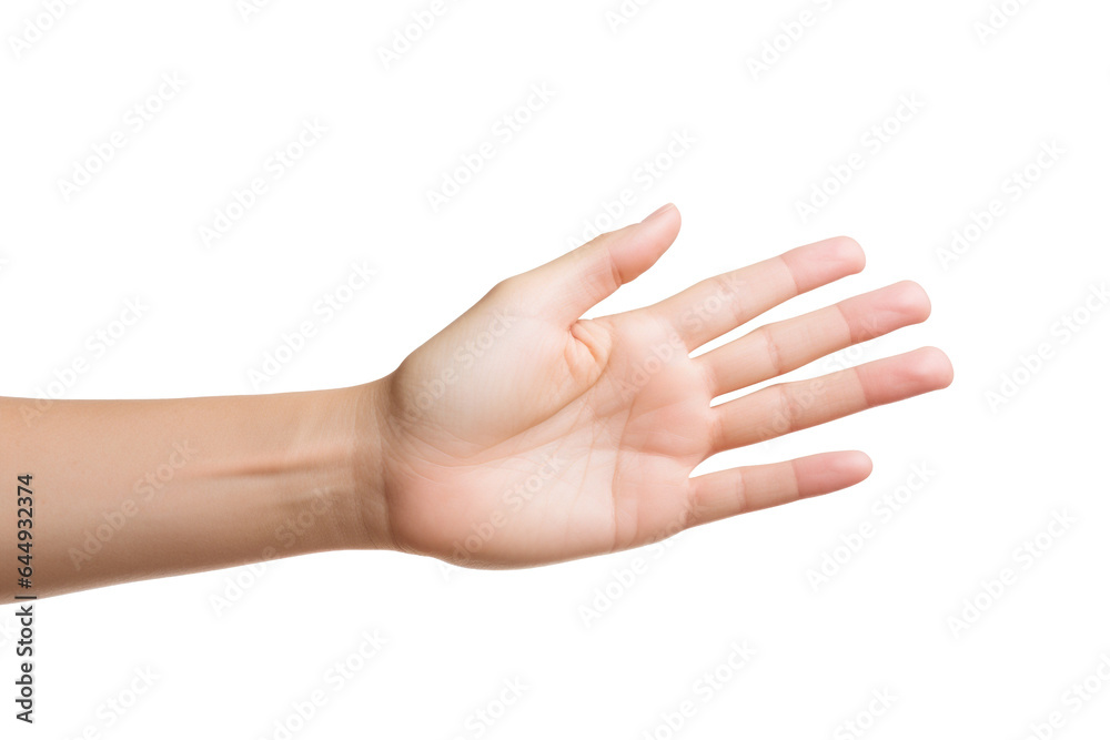 Hand on white background. Hand on white background.