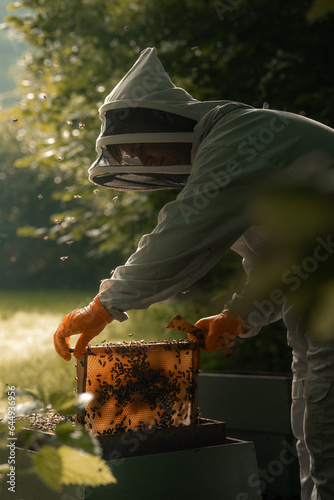 Bee keeper working with honey bees, man made bee hive