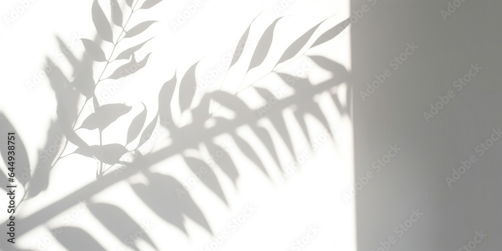 Fototapeta premium Simple leaves shadows on a white wall shadow from window