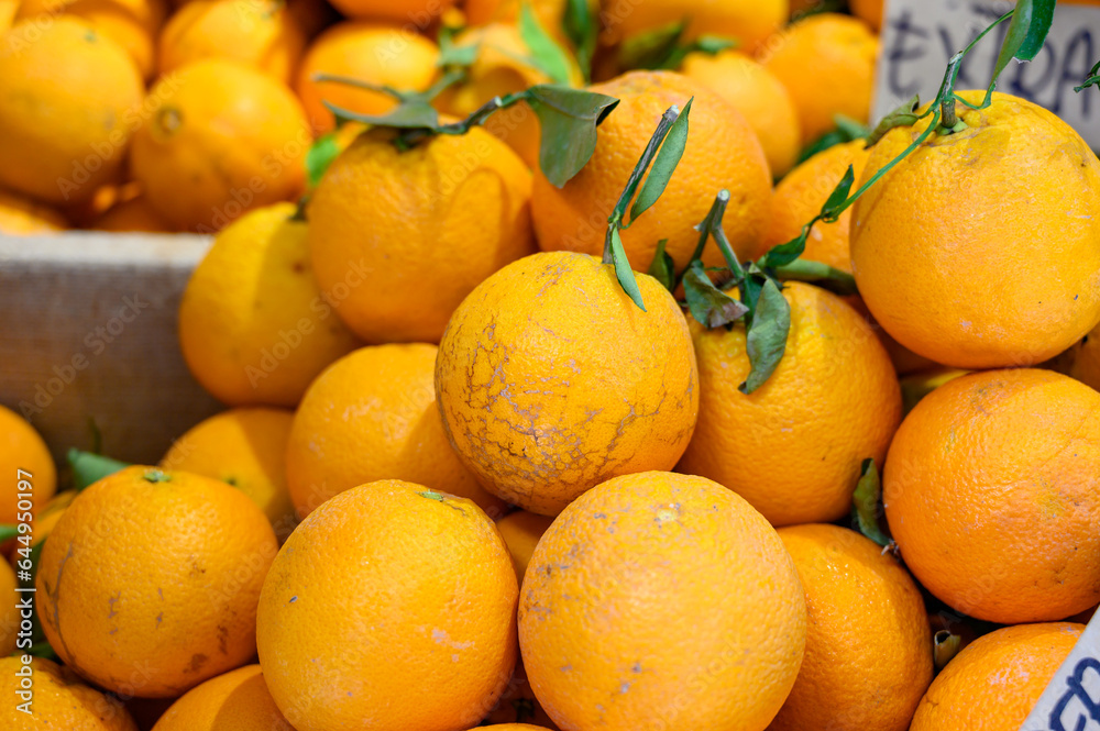 Fresh ripe sicilian oranges citrus fruits on market close up Fresh ripe sicilian oranges citrus fruits on market close up