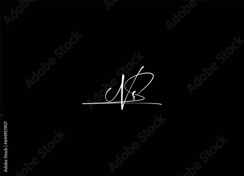 NS letter logo design and monogram logo