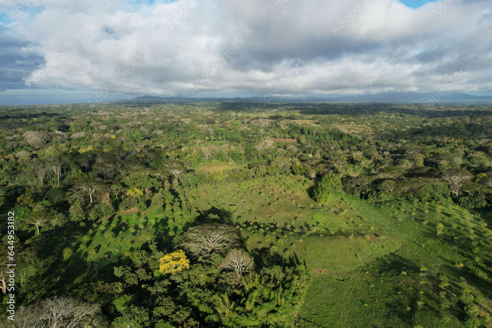 Obraz premium Green tropical landscape with farm