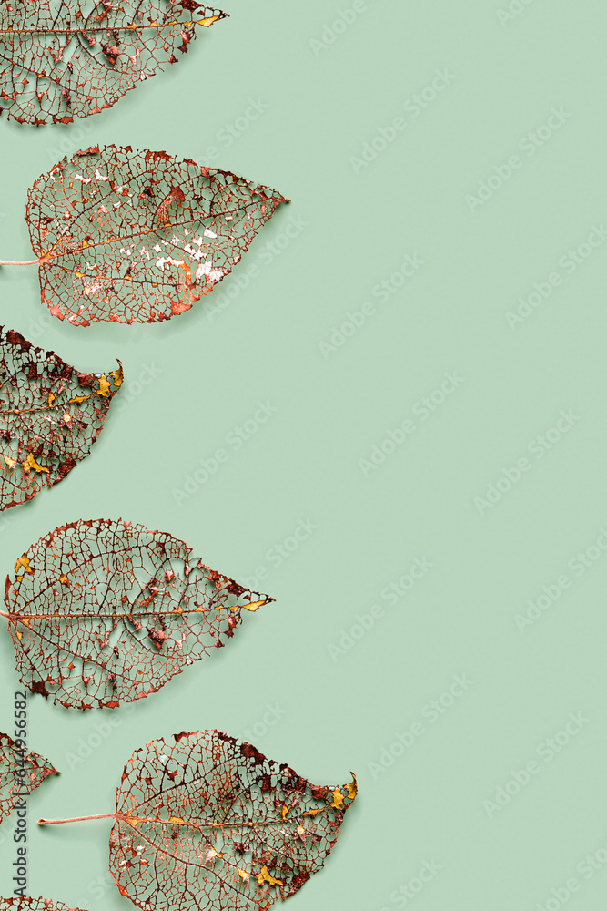 Red brown skeletonized leaf as background, autumn leaves pattern. Beauty nature concept. Fall season botanical pattern from close up foliage natural texture, vibrant color vein of leaves Red brown skeletonized leaf as background, autumn leaves pattern. Beauty nature concept. Fall season botanical pattern from close up foliage natural texture, vibrant color vein of leaves