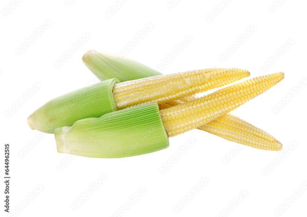 Baby corn transparent png Baby corn transparent png