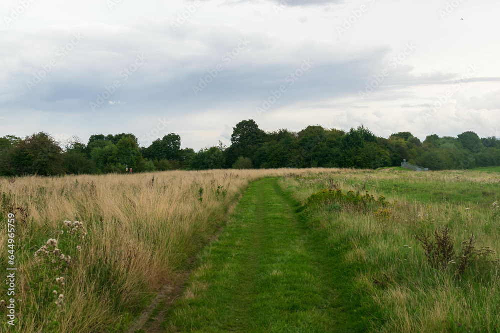 Obraz premium landscape with a river