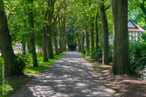 path in the park