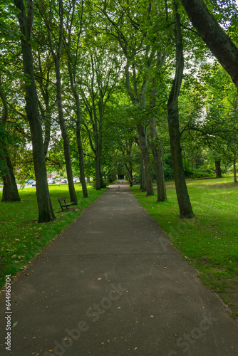 Fototapeta Naklejka Na Ścianę i Meble -  alley in the park