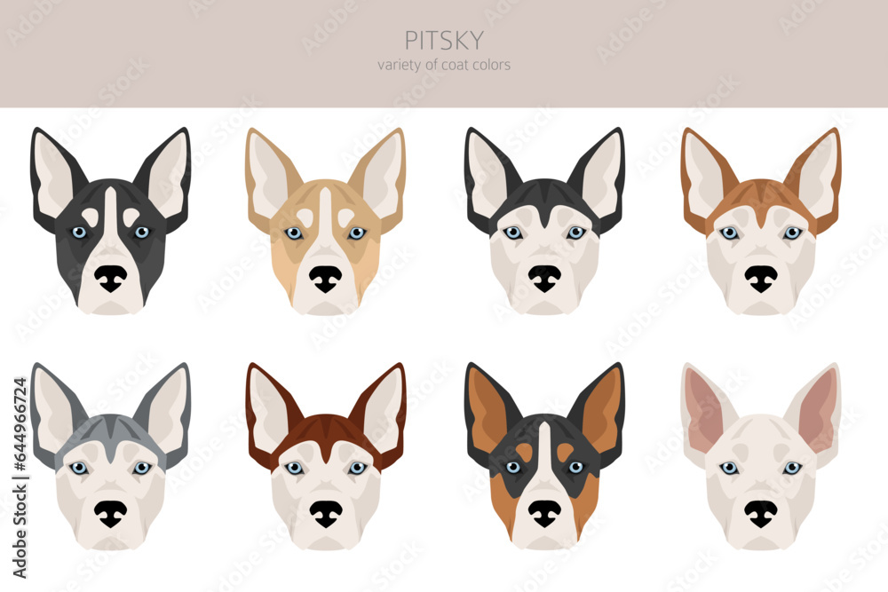 Pitsky clipart. Pit bull terrier Siberian Husky mix. Different coat colors set Pitsky clipart. Pit bull terrier Siberian Husky mix. Different coat colors set