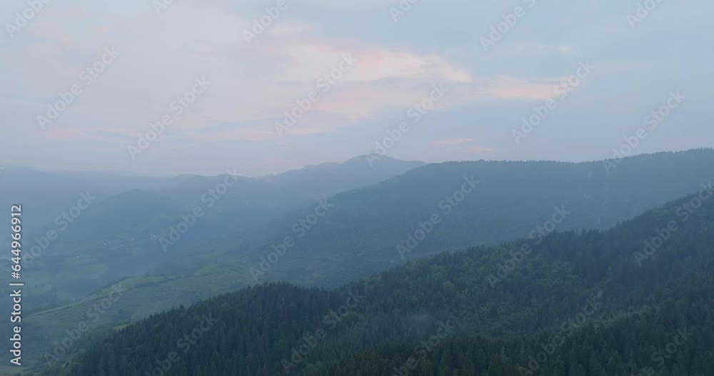 Mystical Aerial View of Fir Forest and Cloud Formation at Vlasic