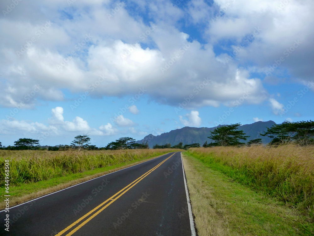 scenic view of landscape along Cane Road near Lihue on Kauai
