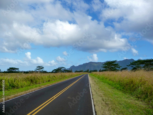 scenic view of landscape along Cane Road near Lihue on Kauai © Schneestarre