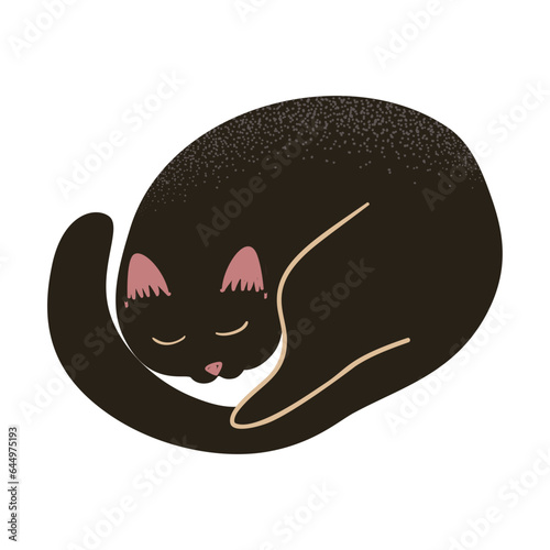 Black Cat Sleeps