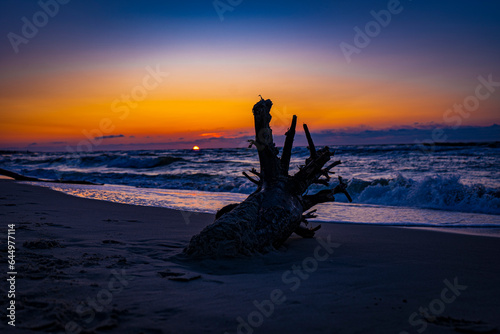 Fototapeta Naklejka Na Ścianę i Meble -  sunset on the beach at the Baltic Sea with  a bough in the foreground