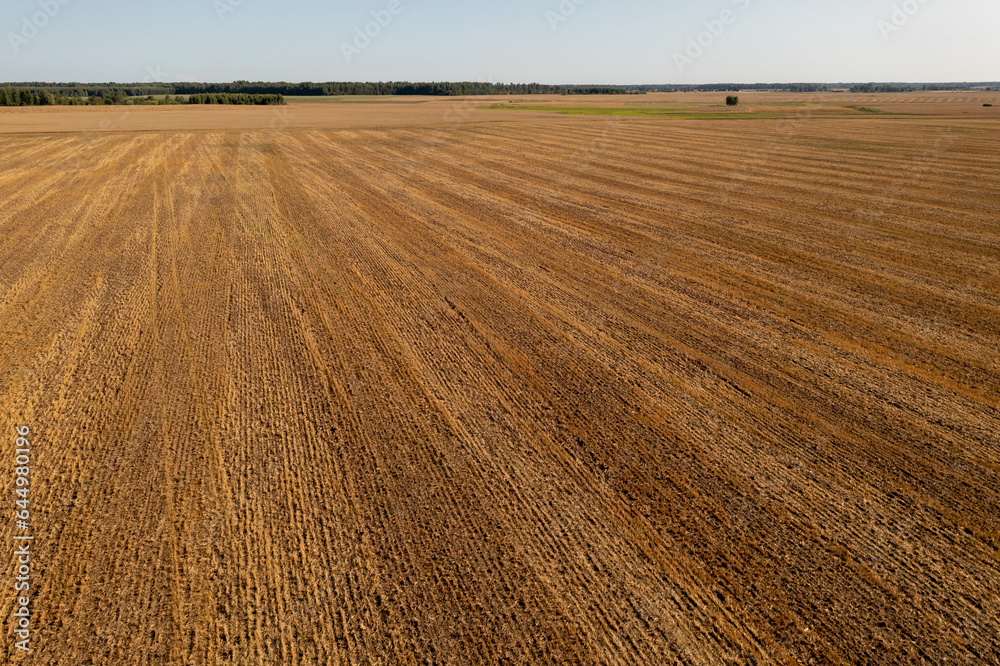 Drone photography of yellow grain agriculture field