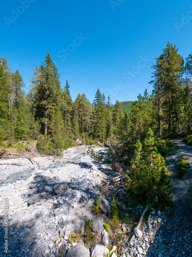 River bed in the swiss national park
