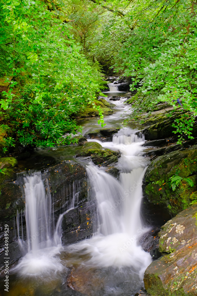 Torc waterfall in the famous Killarney national park, Kerry County, Ireland, Europe Torc waterfall in the famous Killarney national park, Kerry County, Ireland, Europe