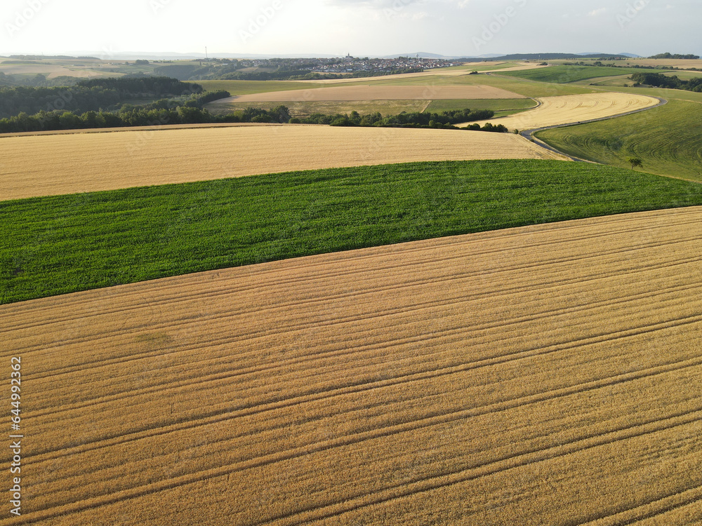 Aerial view of crop fields in summer 