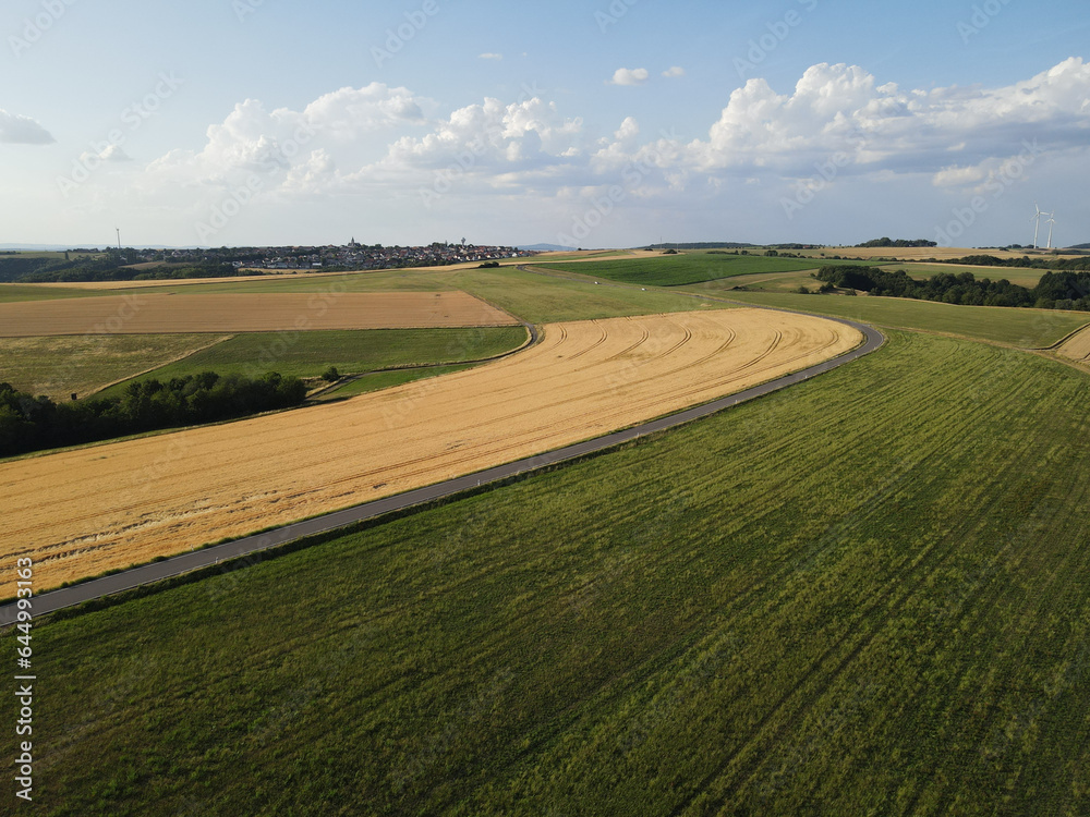 Landscape with crop fields and a road in summer 