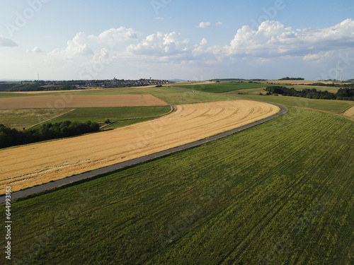 Landscape with crop fields and a road in summer 