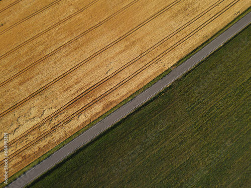 Aerial view of a road between a gold colored crop field and a green colored grass field in the landscape 