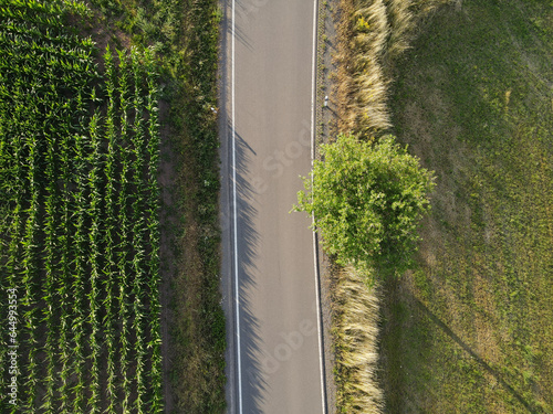 Drone view of a rural road in the landscape 