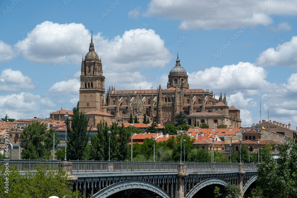 Salamanca, Spain - June 22, 2023: Enrique Estevan Bridge and cathedral in the background
