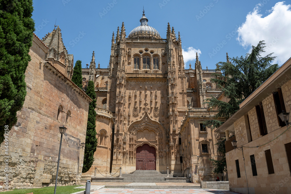 Salamanca, Spain - June 22, 2023: door of the Cathedral