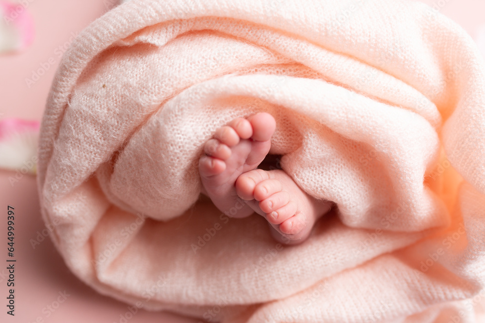 newborn's legs. legs on a peach background. baby feet newborn's legs. legs on a peach background. baby feet