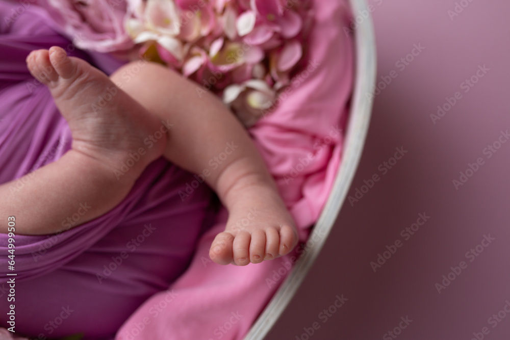 newborn's feet in pink cloth around flowers. little baby feet. care and comfort. family. hygiene. hydrangea newborn's feet in pink cloth around flowers. little baby feet. care and comfort. family. hygiene. hydrangea
