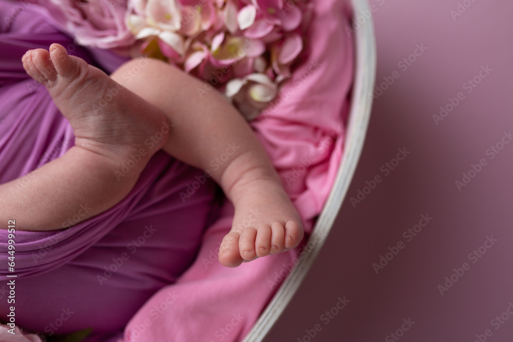 newborn's feet in pink cloth around flowers. little baby feet. care and comfort. family. hygiene. hydrangea newborn's feet in pink cloth around flowers. little baby feet. care and comfort. family. hygiene. hydrangea