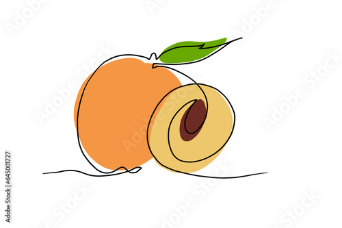 illustration of an apricot with leaves