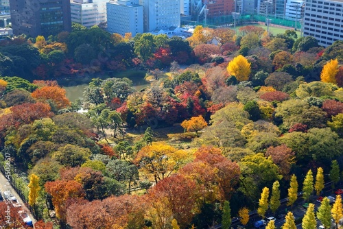 Koishikawa Korakuen Gardens in Tokyo photo