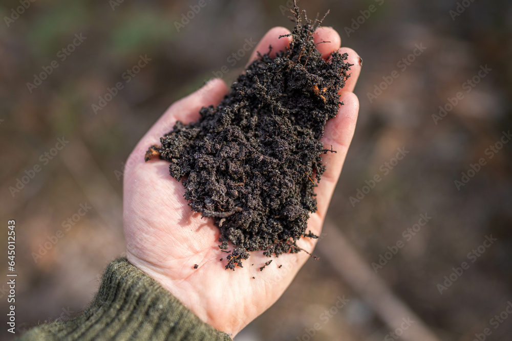 Female farmer hold soil in hands monitoring soil health on a farm in australia Female farmer hold soil in hands monitoring soil health on a farm in australia