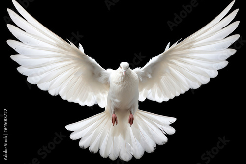 Front view of a white dove with open wings symbol of the Holy Spirit on black background Generative AI Illustration © SVasco