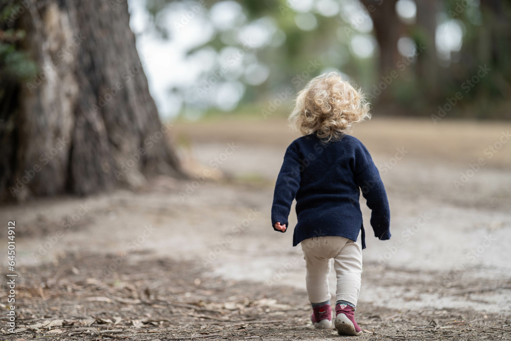 Fototapeta premium blonde todder walking in a forest on a hike in spring