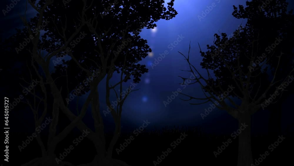 Extraterrestrial lights passing in the night sky Extraterrestrial lights passing in the night sky