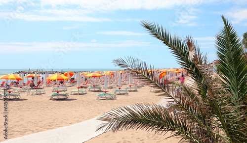 sunny beach with umbrellas deckchairs and palm tree photo