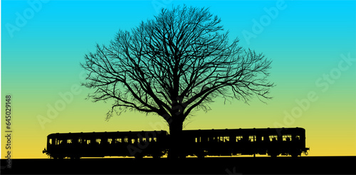 árbol, naturaleza, cielo, paisaje, césped, tren
