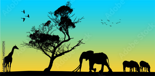 atardecer, elefante, animal, silueta, naturaleza