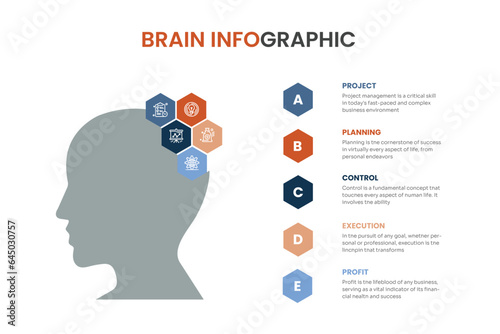 Vector Brain infographic Set. Template for human head diagram, graph, presentation, face chart. Business idea concept with 3, 4, 5, 6, 7, 8 options, parts, steps or processes. Brainstorming.